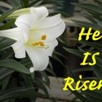 He-Is-Risen